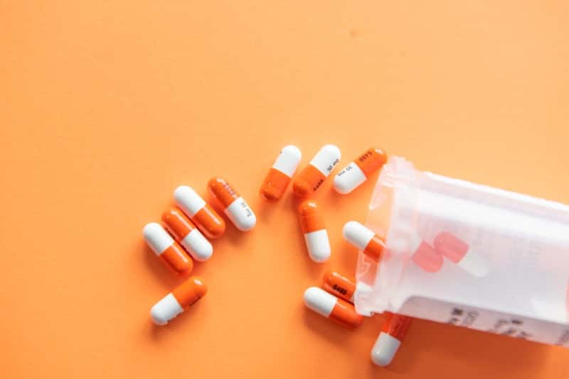 Pharma & Healthcare