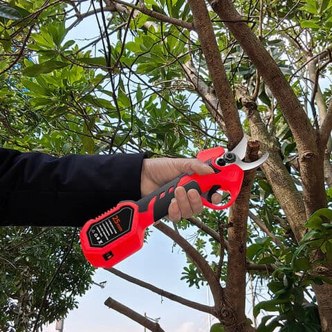 According to statistics and forecasts from APO Research, the global revenue of electric pruning shears will reach US$176.33 million in 2024.